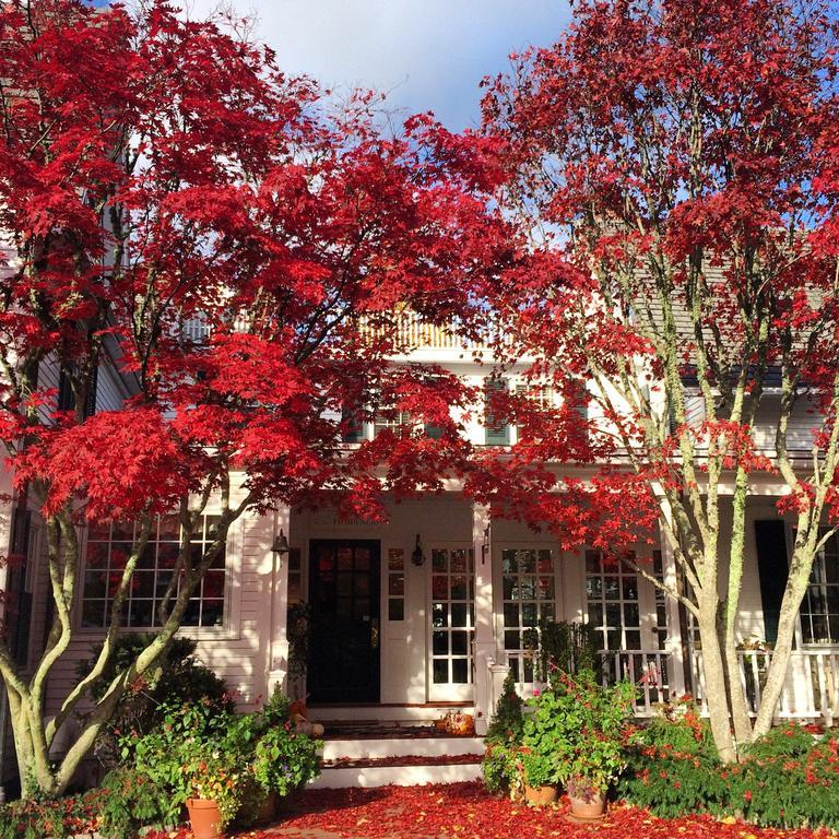 Hotel Hob Knob Edgartown Exterior foto